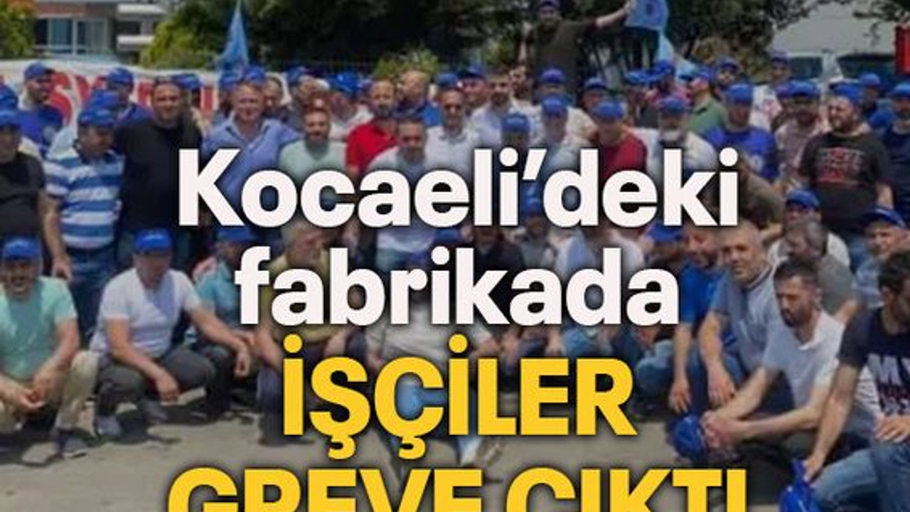 Kocaeli’deki fabrikada İŞÇİLER GREVE ÇIKTI
